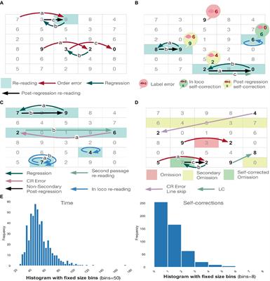 Visuospatial, oculomotor, and executive reading skills evolve in elementary school, and errors are significant: a topological RAN study